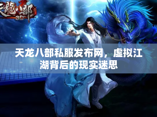 天龙八部私服发布网，虚拟江湖背后的现实迷思