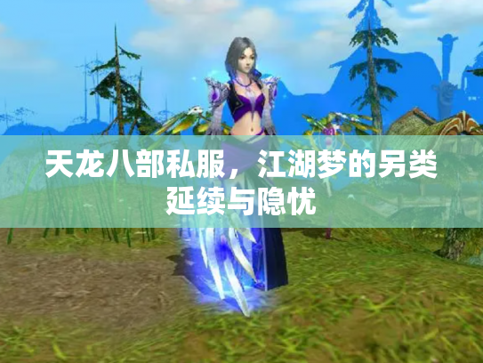 天龙八部私服，江湖梦的另类延续与隐忧