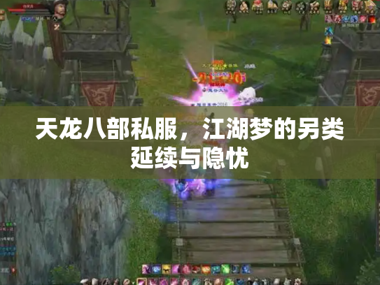 天龙八部私服，江湖梦的另类延续与隐忧
