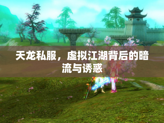 天龙私服，虚拟江湖背后的暗流与诱惑
