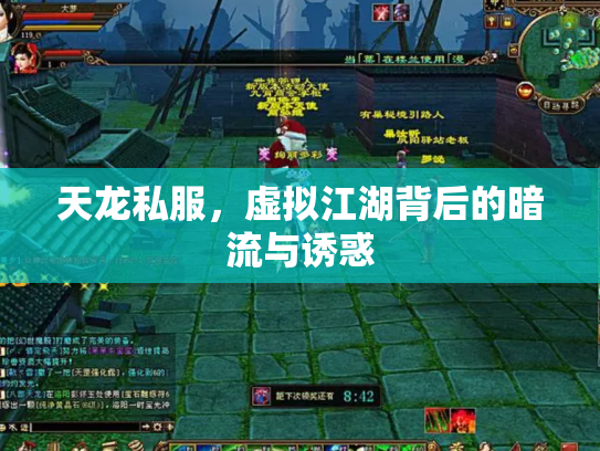 天龙私服，虚拟江湖背后的暗流与诱惑