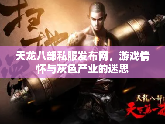 天龙八部私服发布网，游戏情怀与灰色产业的迷思