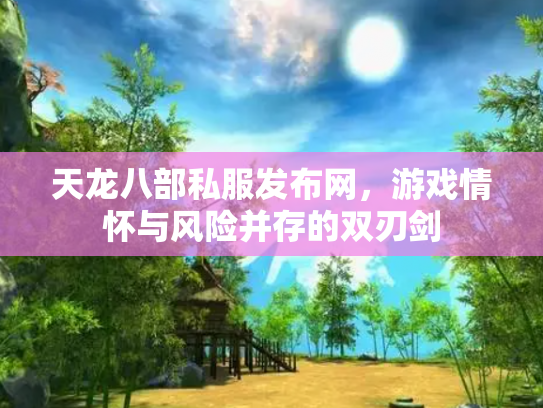 天龙八部私服发布网，游戏情怀与风险并存的双刃剑