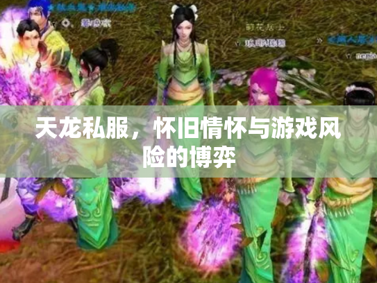 天龙私服，怀旧情怀与游戏风险的博弈