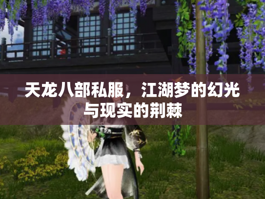 天龙八部私服，江湖梦的幻光与现实的荆棘