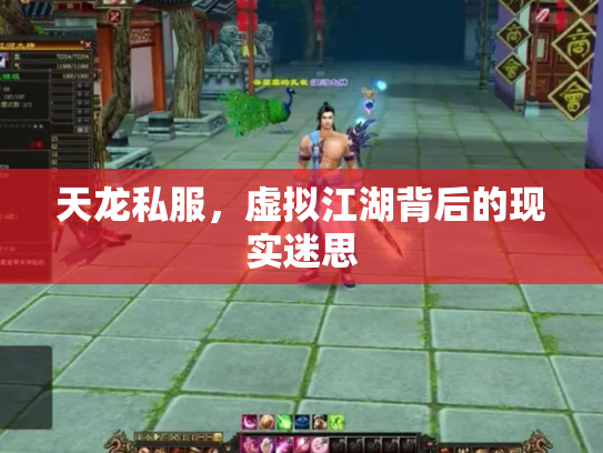 天龙私服，虚拟江湖背后的现实迷思