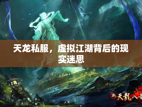 天龙私服，虚拟江湖背后的现实迷思