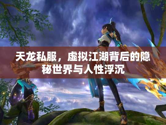 天龙私服，虚拟江湖背后的隐秘世界与人性浮沉