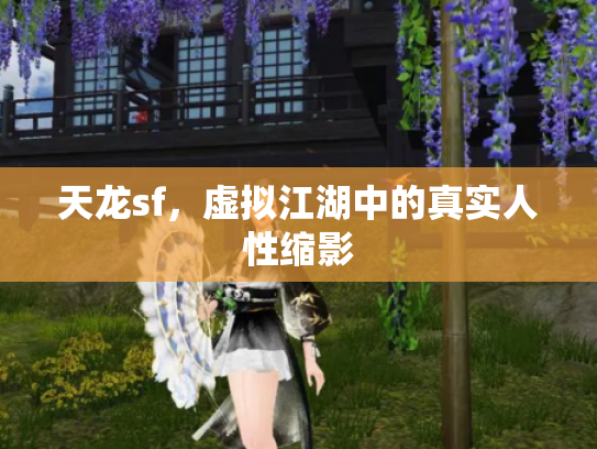 天龙sf，虚拟江湖中的真实人性缩影