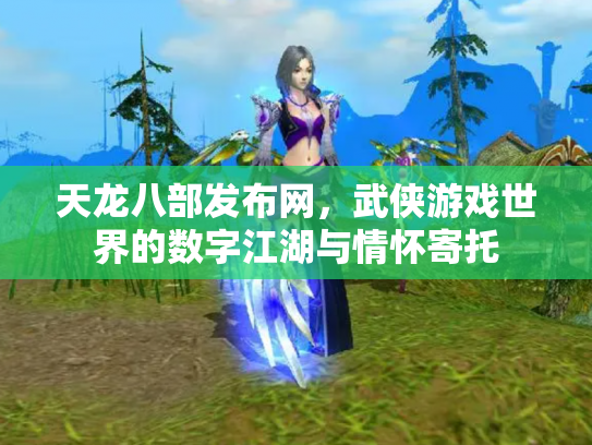 天龙八部发布网，武侠游戏世界的数字江湖与情怀寄托