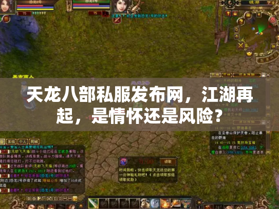 天龙八部私服发布网，江湖再起，是情怀还是风险？