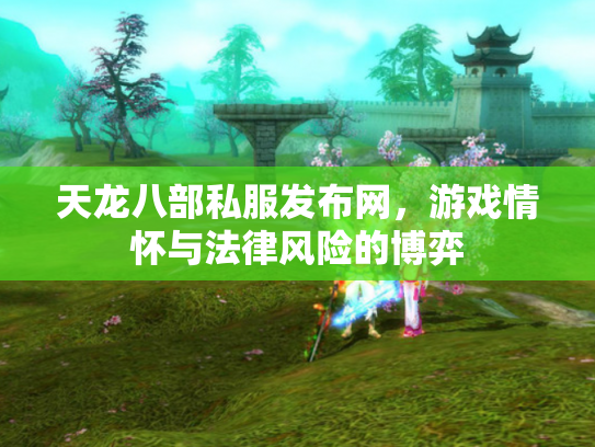 天龙八部私服发布网，游戏情怀与法律风险的博弈