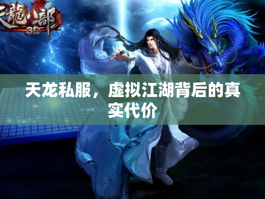 天龙私服，虚拟江湖背后的真实代价