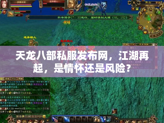 天龙八部私服发布网，江湖再起，是情怀还是风险？