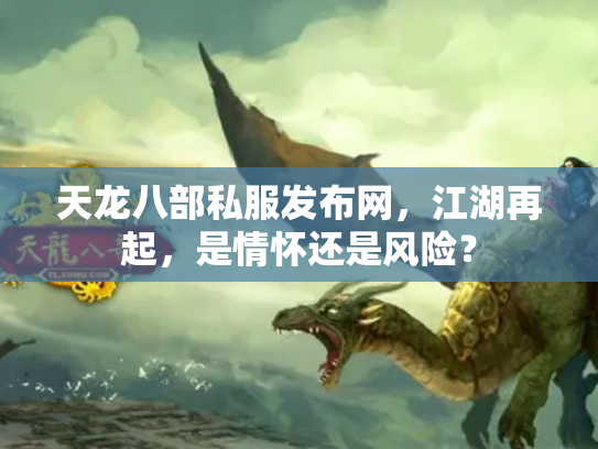 天龙八部私服发布网，江湖再起，是情怀还是风险？