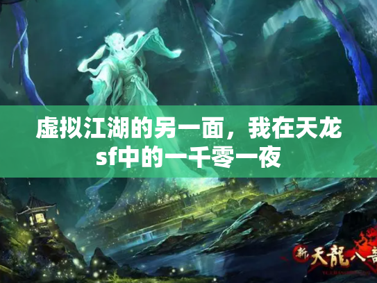 虚拟江湖的另一面，我在天龙sf中的一千零一夜