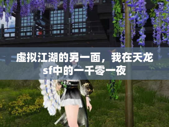 虚拟江湖的另一面，我在天龙sf中的一千零一夜
