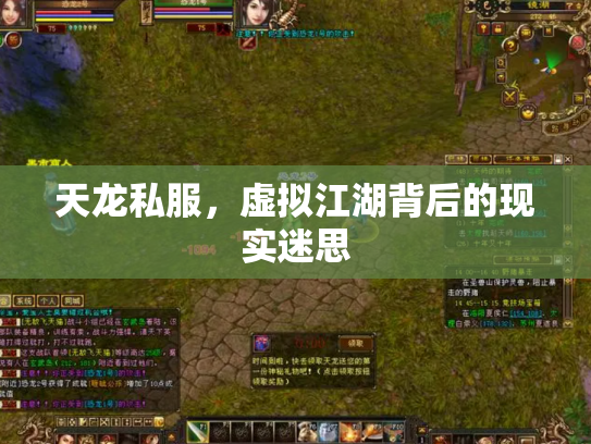 天龙私服，虚拟江湖背后的现实迷思