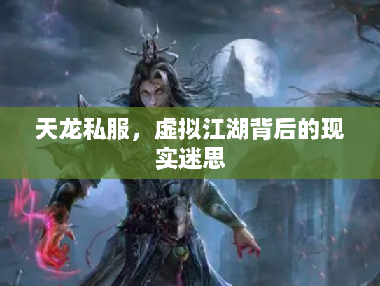 天龙私服，虚拟江湖背后的现实迷思