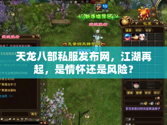 天龙八部私服发布网，江湖再起，是情怀还是风险？