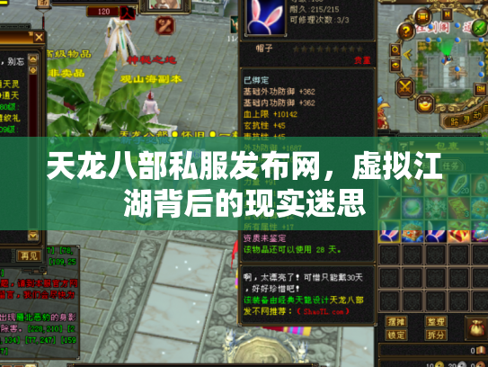 天龙八部私服发布网，虚拟江湖背后的现实迷思