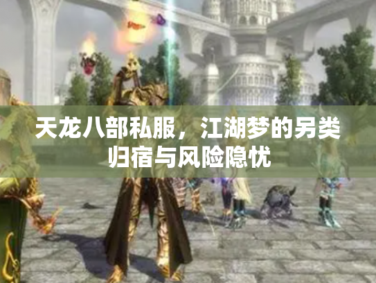 天龙八部私服，江湖梦的另类归宿与风险隐忧
