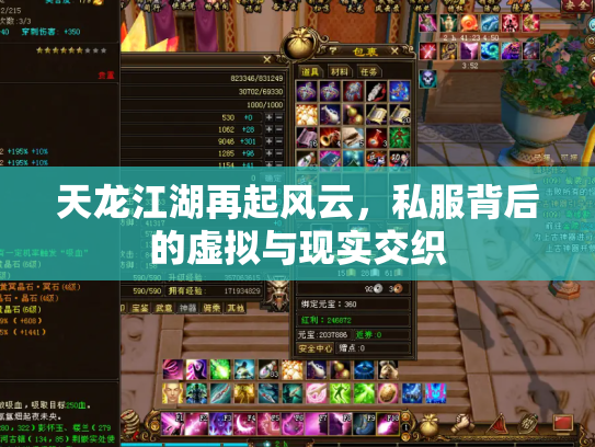 天龙江湖再起风云，私服背后的虚拟与现实交织