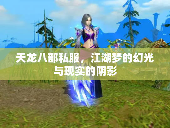 天龙八部私服，江湖梦的幻光与现实的阴影