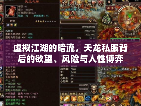 虚拟江湖的暗流，天龙私服背后的欲望、风险与人性博弈