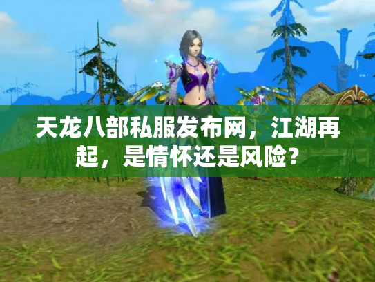 天龙八部私服发布网，江湖再起，是情怀还是风险？
