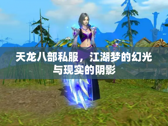 天龙八部私服，江湖梦的幻光与现实的阴影