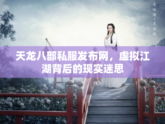 天龙八部私服发布网，虚拟江湖背后的现实迷思