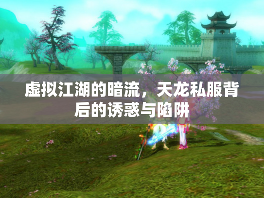 虚拟江湖的暗流，天龙私服背后的诱惑与陷阱
