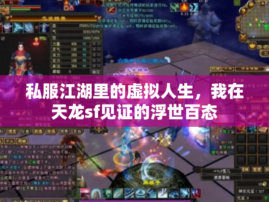 私服江湖里的虚拟人生，我在天龙sf见证的浮世百态