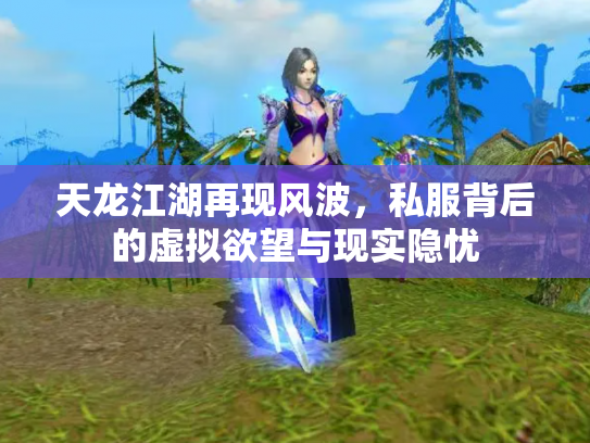 天龙江湖再现风波，私服背后的虚拟欲望与现实隐忧