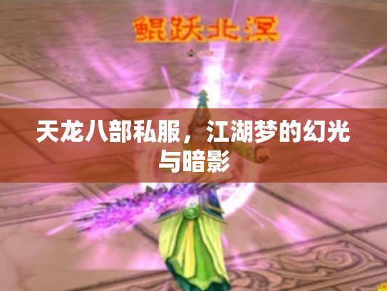 天龙八部私服，江湖梦的幻光与暗影