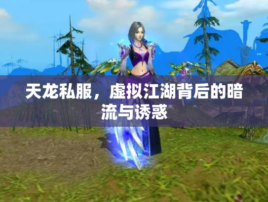 天龙私服，虚拟江湖背后的暗流与诱惑