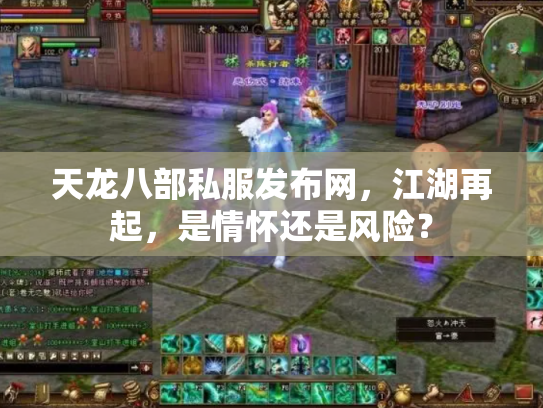 天龙八部私服发布网，江湖再起，是情怀还是风险？