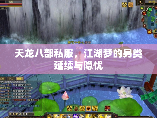 天龙八部私服，江湖梦的另类延续与隐忧