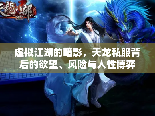 虚拟江湖的暗影，天龙私服背后的欲望、风险与人性博弈