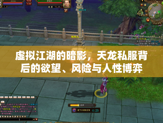 虚拟江湖的暗影，天龙私服背后的欲望、风险与人性博弈