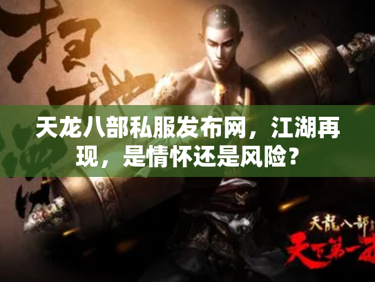 天龙八部私服发布网，江湖再现，是情怀还是风险？