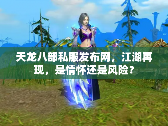 天龙八部私服发布网，江湖再现，是情怀还是风险？