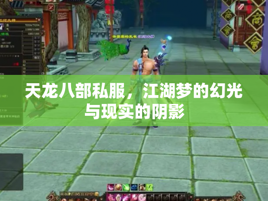 天龙八部私服，江湖梦的幻光与现实的阴影