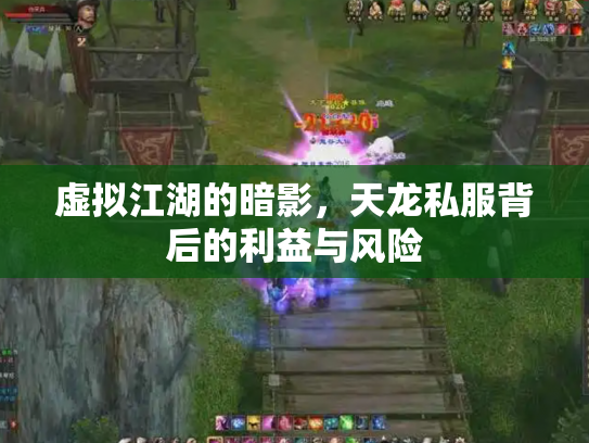 虚拟江湖的暗影，天龙私服背后的利益与风险