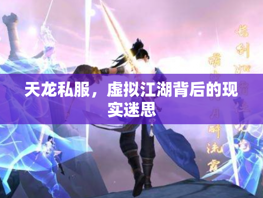 天龙私服，虚拟江湖背后的现实迷思