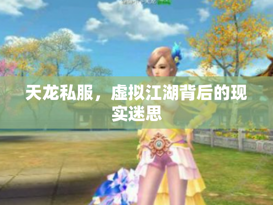 天龙私服，虚拟江湖背后的现实迷思