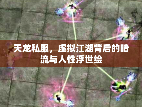 天龙私服，虚拟江湖背后的暗流与人性浮世绘