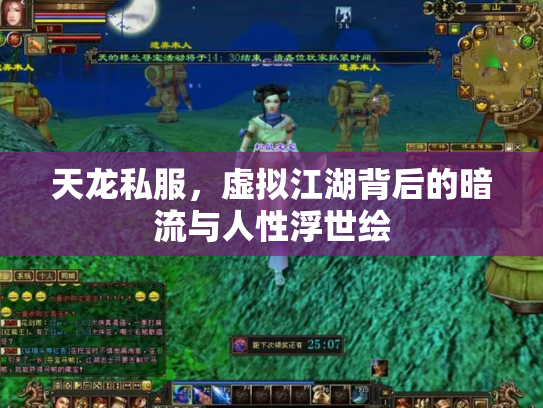 天龙私服，虚拟江湖背后的暗流与人性浮世绘