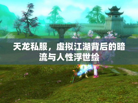 天龙私服，虚拟江湖背后的暗流与人性浮世绘